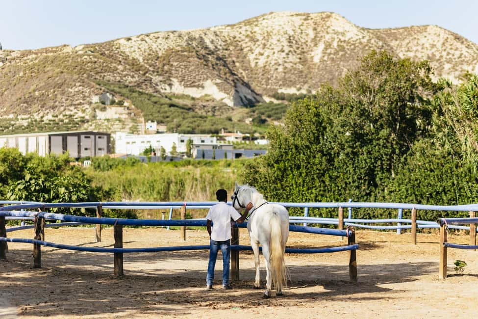 image n.8 of Heraklion: Finikia Horse Riding Tour with Lunch or Dinner activity in Heraklion, uploaded by supplier