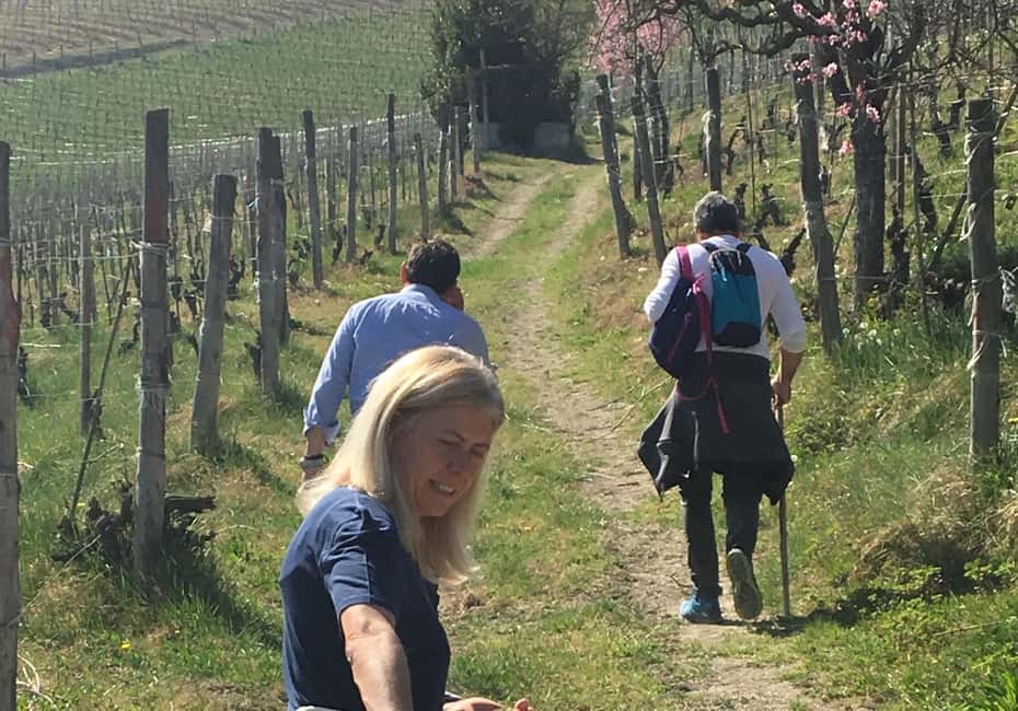 billede nr.3 af aktiviteten Alba: Vinsmagning og rundvisning hos en lokal producent i Alba, uploadet af udbyder
