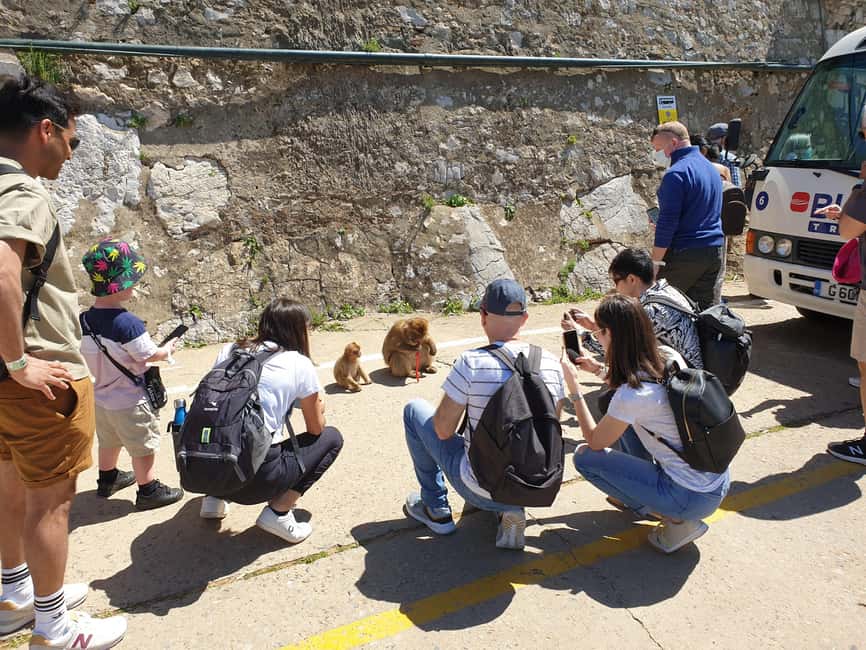 imagen n.º 8 de Desde Sevilla: Excursión de un día a Gibraltar actividad en Gibraltar, subida por el proveedor