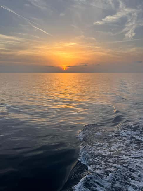Immagine nº 10 di Pola: Crociera con delfini al tramonto di Brioni con cena e bevande attività a Pola, caricata dal fornitore