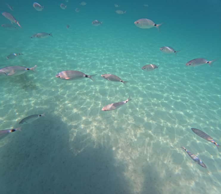 Obraz nr 2 z atrakcji Zadar: Półdniowa wycieczka łodzią motorową z nurkowaniem i napojami w Dalmacja, przesłany przez organizatora