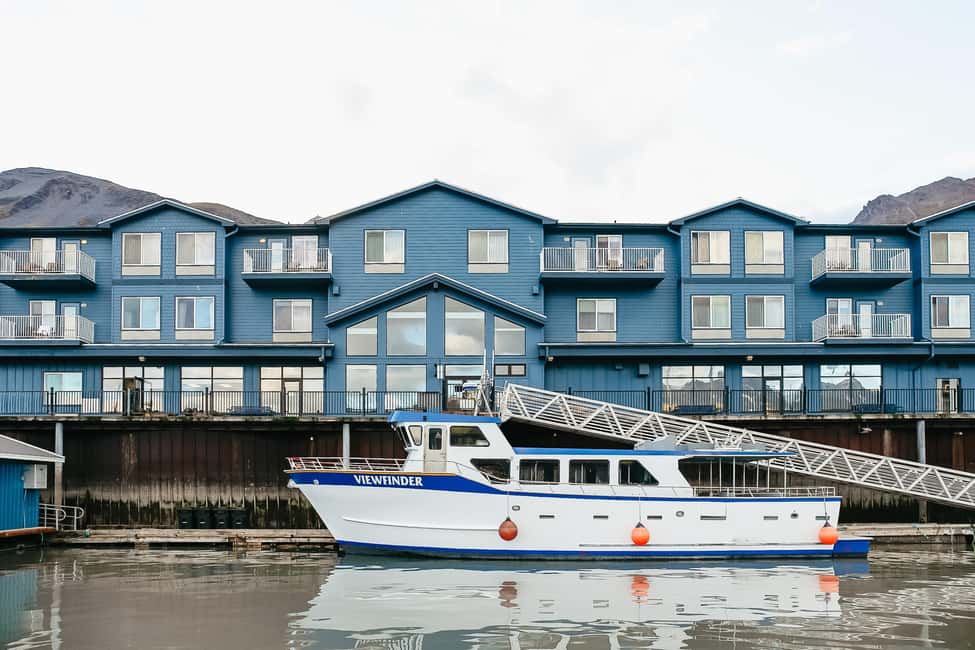image n.6 of Seward: Kenai Fjords National Park Catamaran Cruise w/Lunch activity in Seward, uploaded by supplier