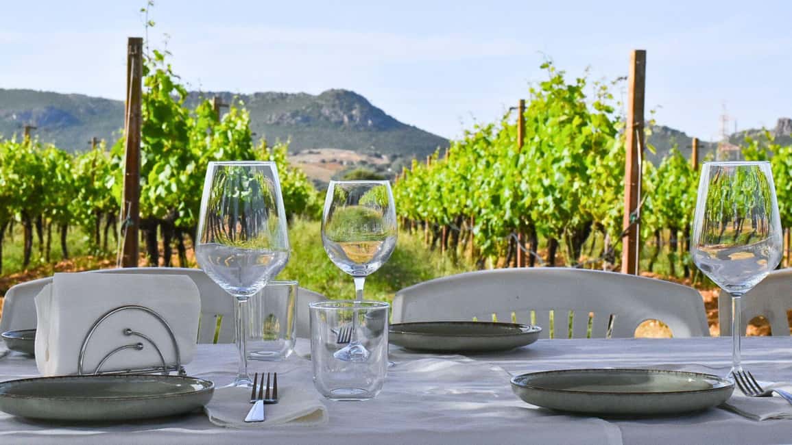 Immagine nº 4 di Alghero: degustazione vini con aperitivo locale in vigna attività a Alghero, caricata dal fornitore