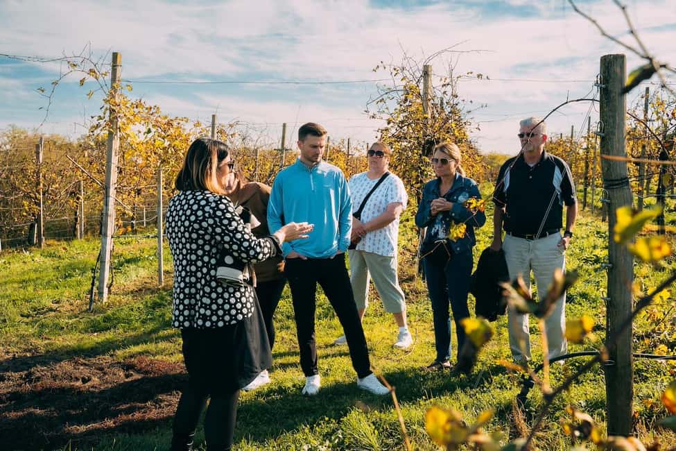 image n.4 of From Venice: Prosecco Wine Region Tour with 2 Tastings activity in Venice, uploaded by supplier