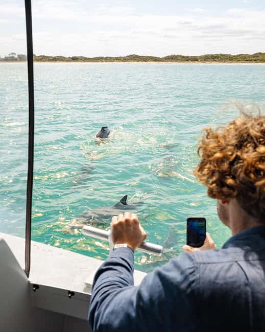 image n.12 of Rockingham: Shoalwater Islands Tour and Penguin Island activity in Western Australia, uploaded by supplier