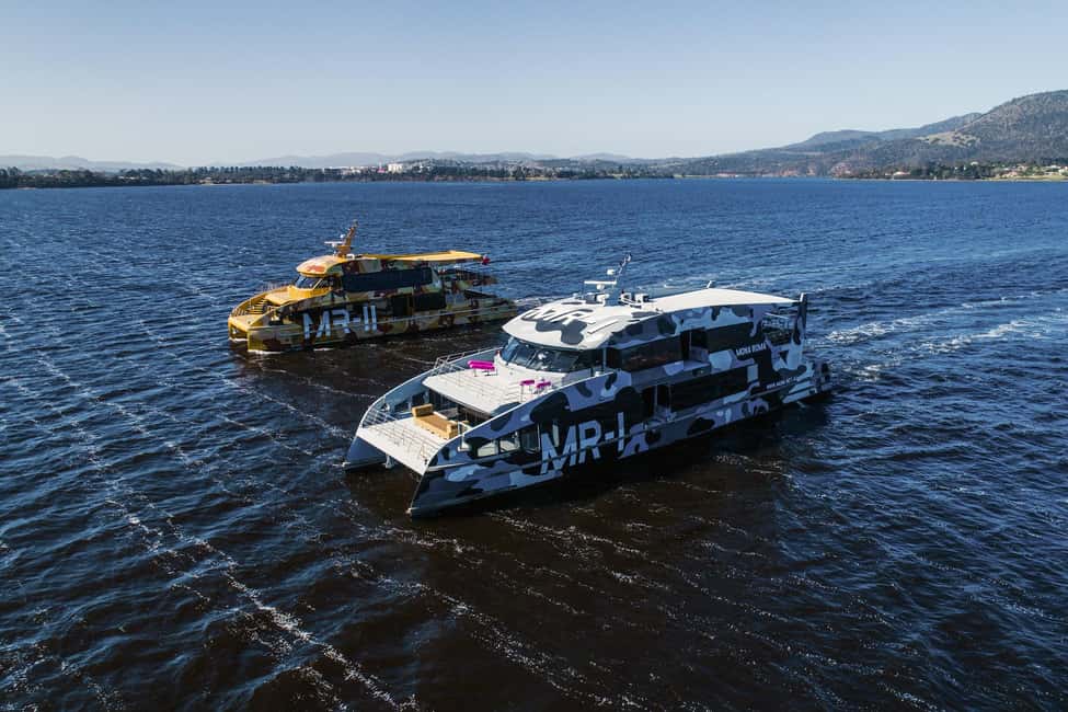 image n.2 of Hobart: Moorilla's Wine + Art at Mona by Boat activity in Hobart, uploaded by supplier