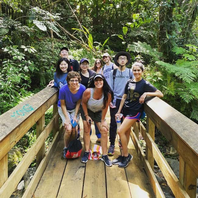 billede nr.6 af aktiviteten San Juan: Guidet tur i El Yunque-regnskoven i Río Grande, Puerto Rico, uploadet af udbyder