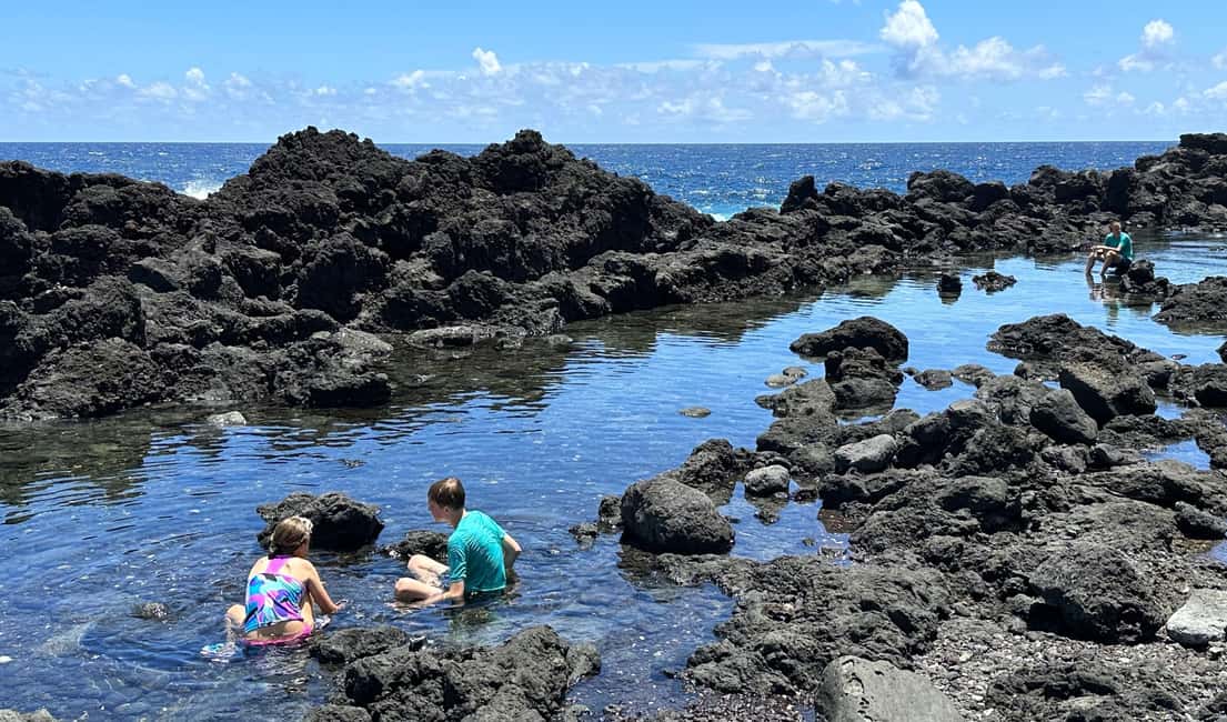 Immagine nº 20 di Escursione alle pozze di marea segrete - Giungla e costa - Privato attività a Pahoa, caricata dal fornitore