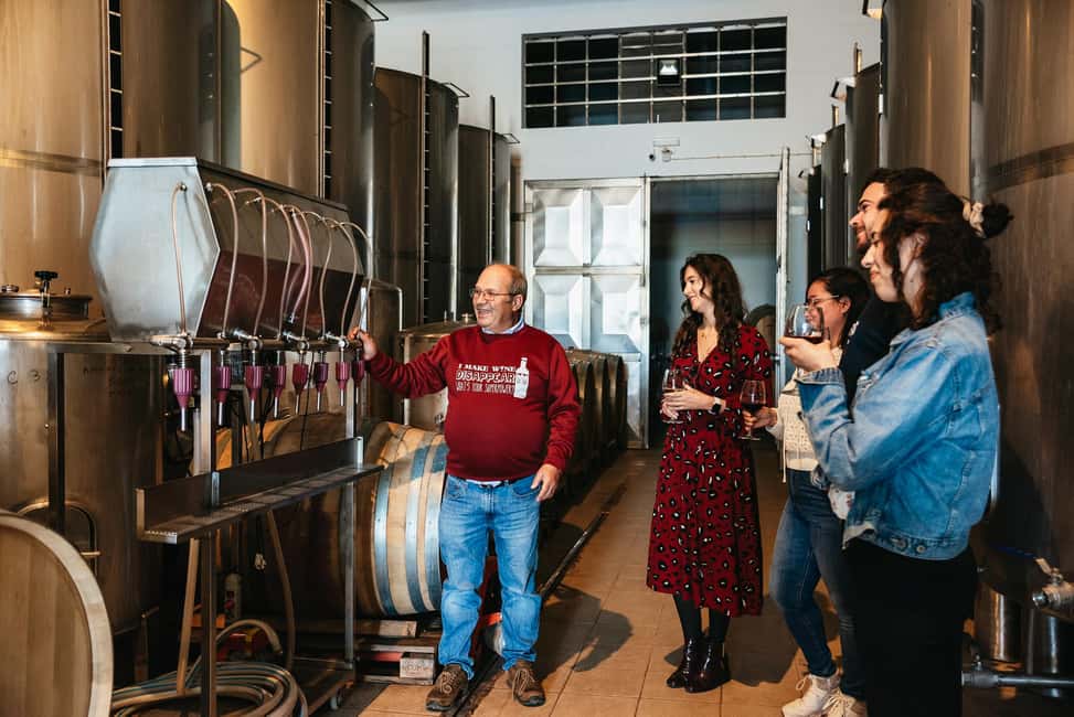 imagem n.6 de Loulé: Visita guiada e degustação de vinhos na Quinta da Tôr atividade em Loulé, carregada pelo fornecedor