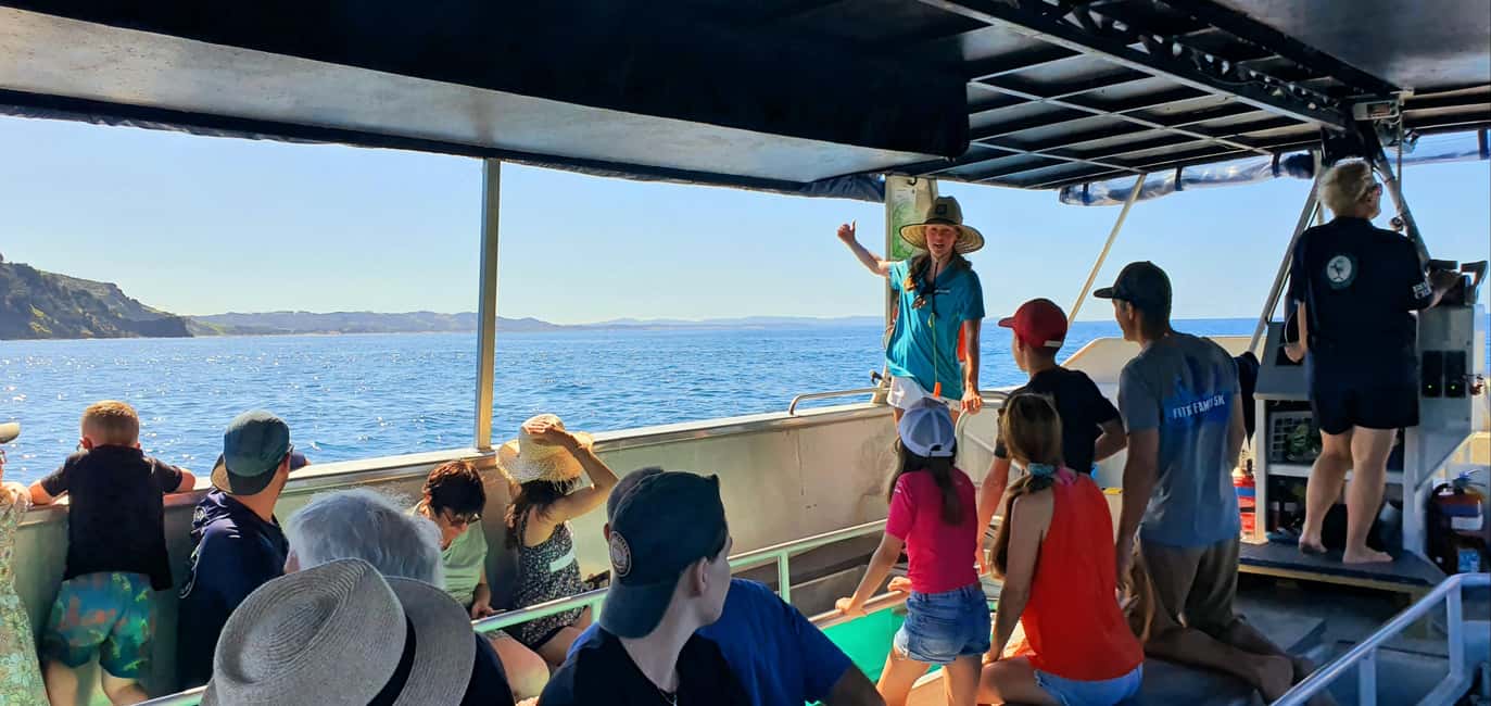 billede nr.3 af aktiviteten Goat Island: Bådtur med glasbund i Auckland, uploadet af udbyder