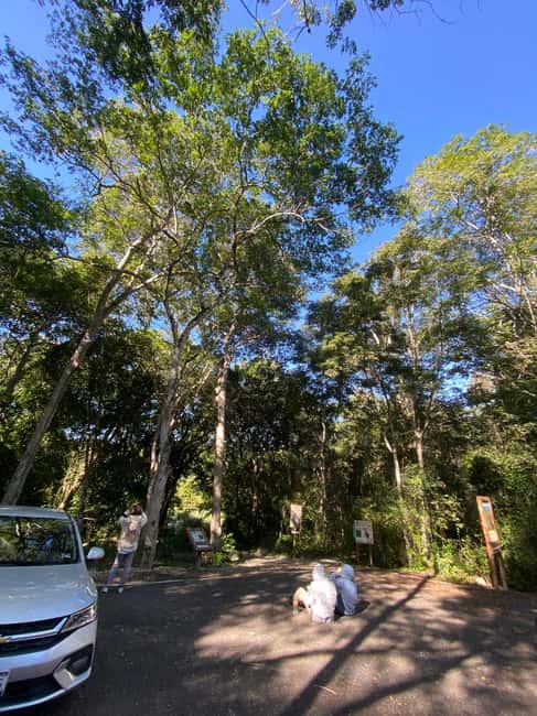 Bild Nr. 17 von Bacalar: Tagestour zu den Calakmul-Ruinen mit einem Stopp im Dschungel Aktivität in Bacalar, hochgeladen vom Anbieter