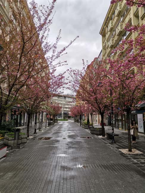 billede nr.2 af aktiviteten Vandring i Skopje i Skopje, uploadet af udbyder