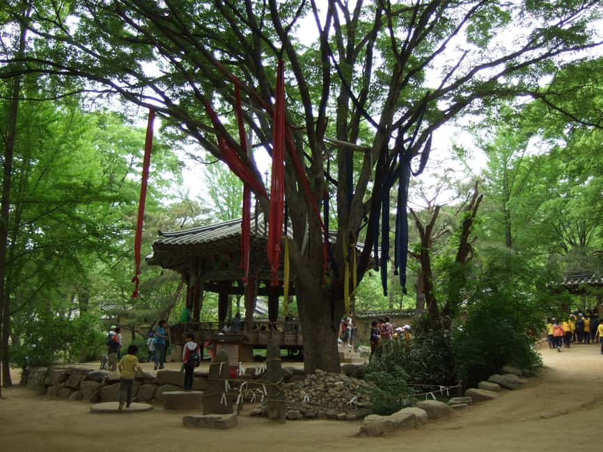 image n.18 of From Seoul: Suwon Hwaseong Fortress Tour activity in Suwon, uploaded by supplier
