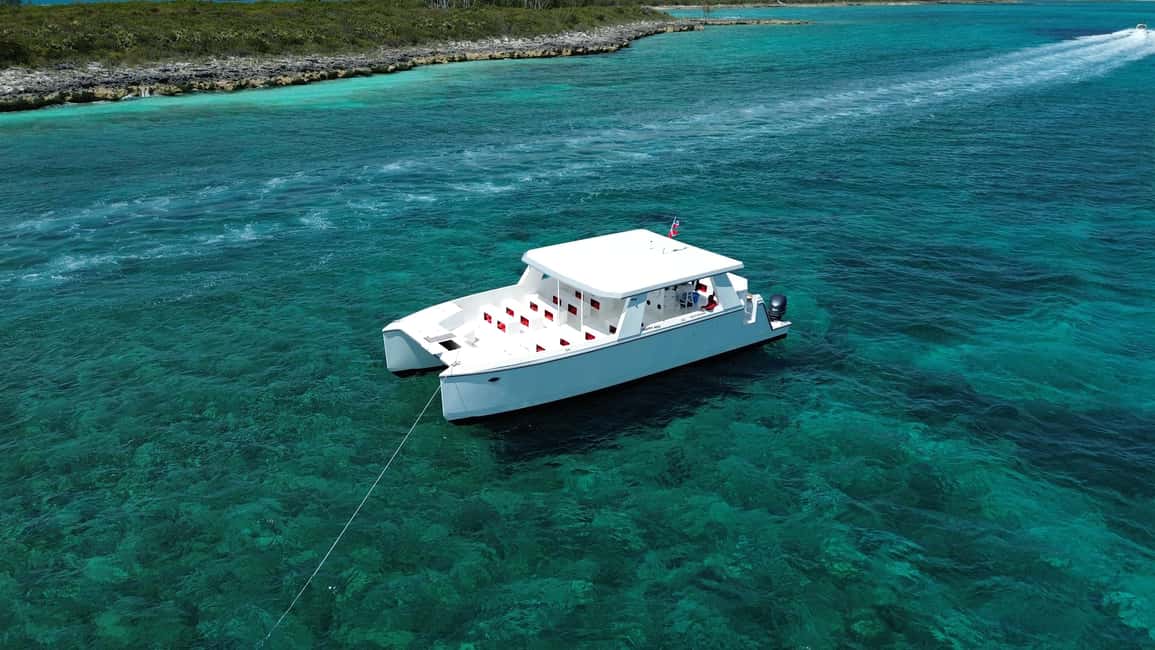 Image N°10 de Nassau : Cochons à la nage, plongée avec tuba et tour en bateau sur la plage activité à New Providence, publiée par le prestataire