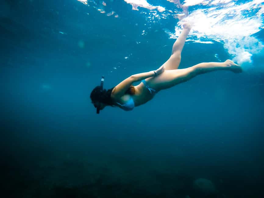 billede nr.11 af aktiviteten Ko Tao: Snorkeltur for senvågnere med frokost og fotos i Thailandbugten, uploadet af udbyder