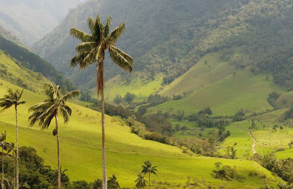 imagem n.11 de A partir de Punta Cana: Excursão Cultural e Histórica Expedição Higuey atividade em Punta Cana, carregada pelo fornecedor