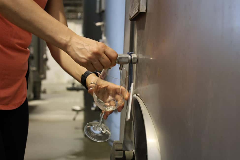imagem n.5 de Lisboa: Tour em pequenos grupos pela história de Évora e pelos vinhos do Alentejo atividade em Distrito de Évora, carregada pelo fornecedor