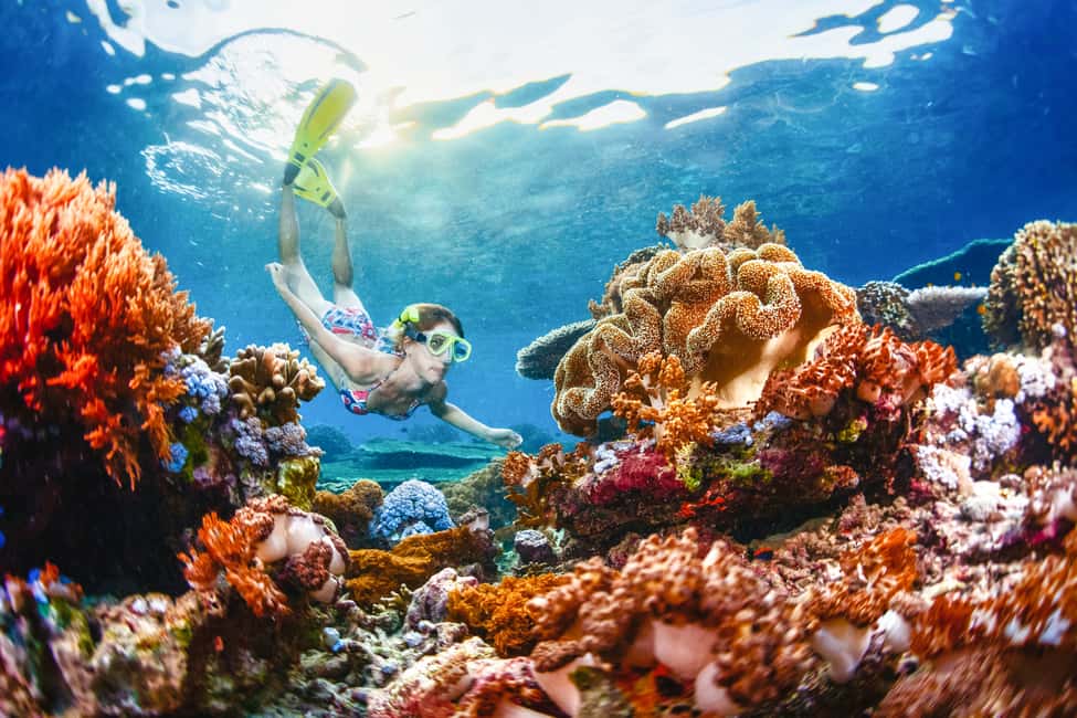 image n.2 of From Bali: 3 Snorkeling Spots Tour to Lembongan and Penida activity in Denpasar, uploaded by supplier