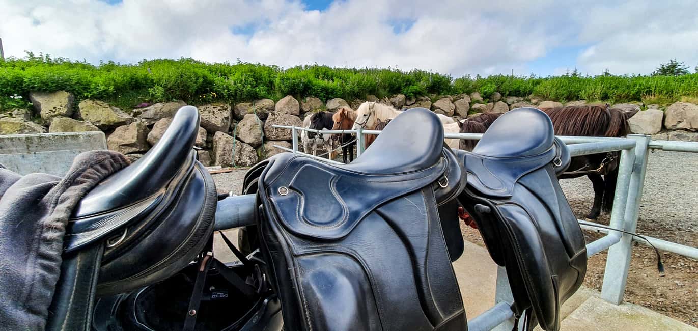 imagen n.º 2 de Reikiavik: Excursión a Caballo por la Lava Roja actividad en Reikiavik, subida por el proveedor