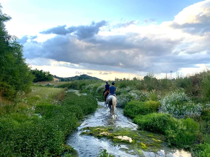 imagen n.º 13 de Siena: Paseos a caballo con Siena al fondo actividad en Siena, subida por el proveedor