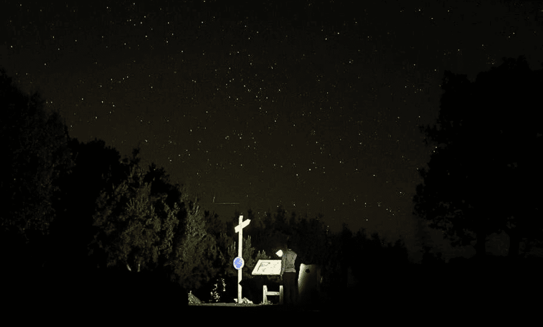 imagen n.º 6 de La Palma: Observar las estrellas en el mejor cielo del mundo actividad en Islas Canarias, subida por el proveedor