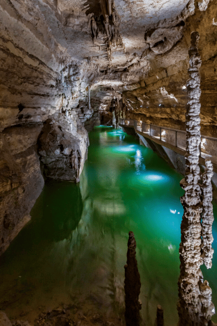image n.11 of San Antonio: Discovery Tour at Natural Bridge Caverns activity in San Antonio, uploaded by supplier