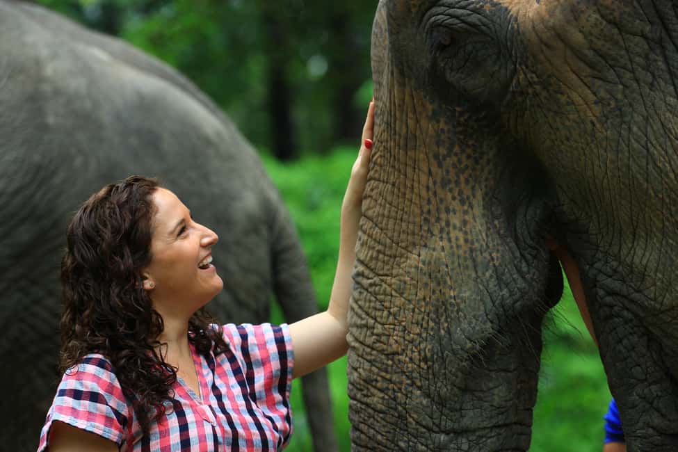 image n.11 of From Chiang Mai: Elephant Care Program and Nursery Tour activity in Chiang Mai, uploaded by supplier