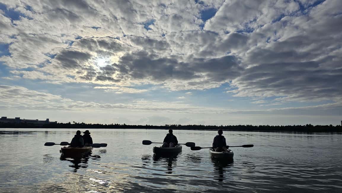 imagen n.º 13 de Cancún: Excursión en Kayak por la Laguna Nichupté actividad en Cancún, subida por el proveedor