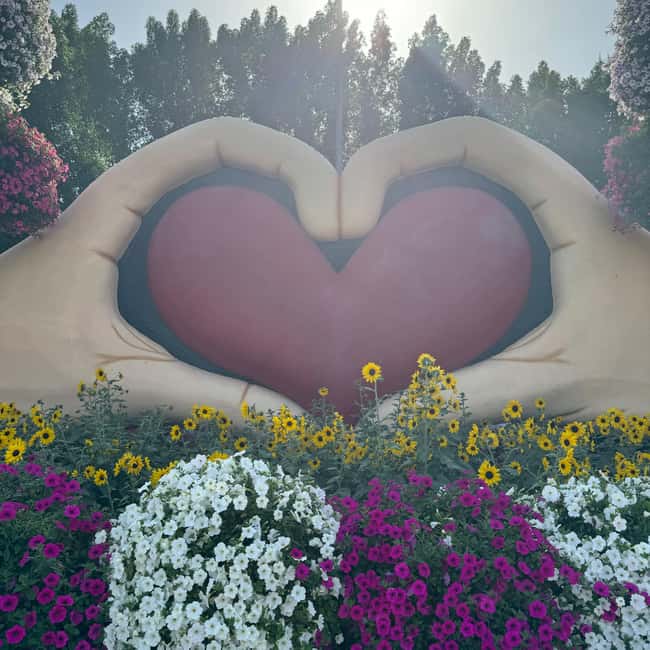image n.3 of Dubai: Miracle Garden Ticket With Transfer activity in Dubai, uploaded by supplier