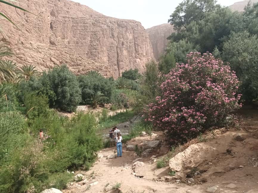 Image N°10 de Marrakech à Fès, circuit de 3 jours dans le désert à dos de chameau et en tente de luxe activité à Marrakech-Safi, publiée par le prestataire