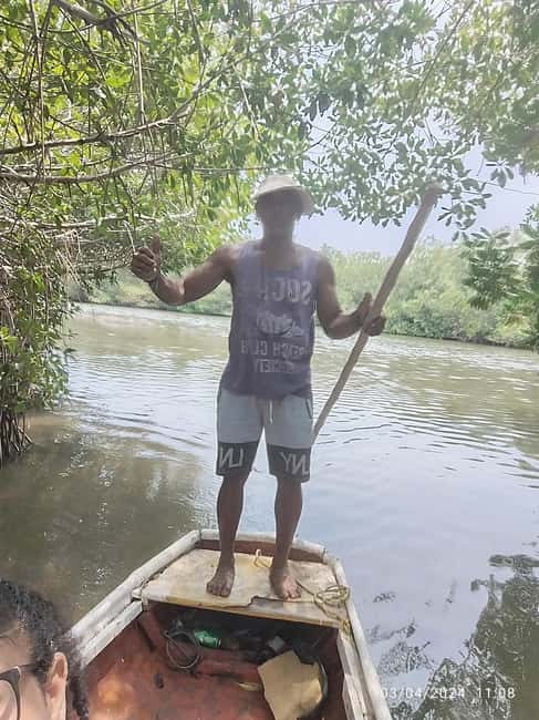 image n.13 of Cartagena: Sail in the mangroves of Cartagena activity in Cartagena, uploaded by supplier