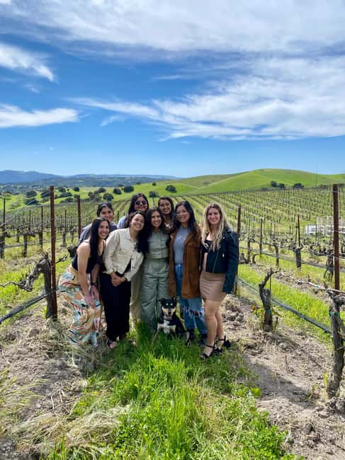 image n.15 of Santa Barbara: Wine Country Tour with Lunch activity in Santa Barbara, uploaded by supplier