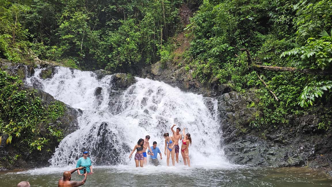 image n.4 of Panama: The Full Rainforest Experience activity in Colón Province, uploaded by supplier
