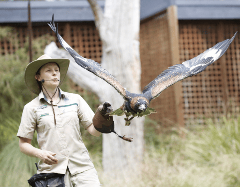 image n.6 of Melbourne Flexi Attractions Pass: 3, 5 or 7 Tickets activity in Melbourne, uploaded by supplier