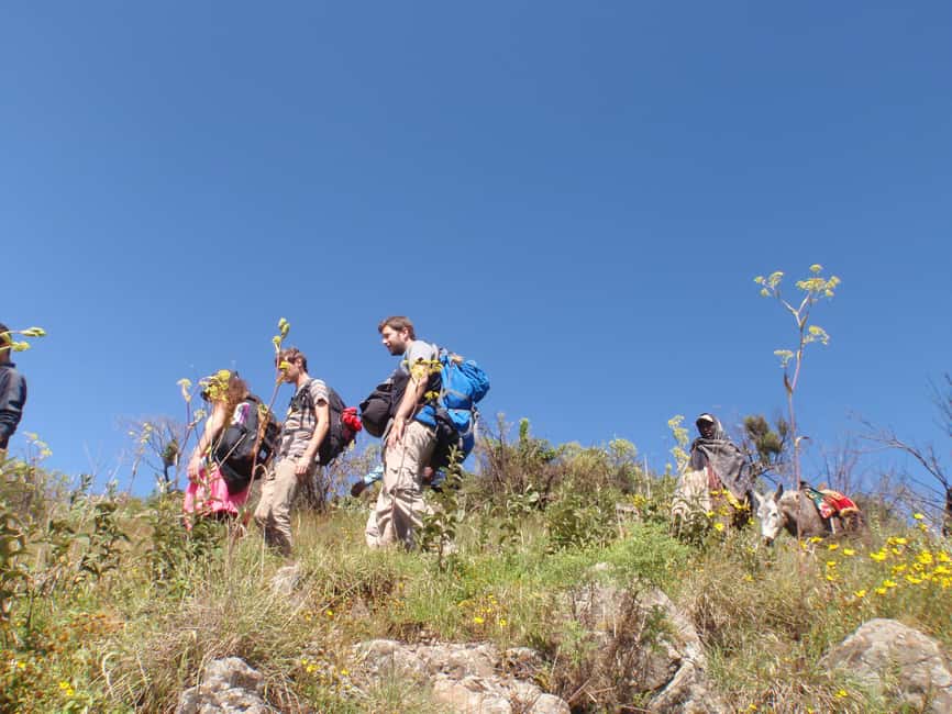 image n.3 of Simien Mountains One Day Trip:Wildlife Spotting,Hiking Tour activity in Amhara Region, uploaded by supplier
