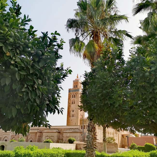 image n.2 of Sparkling Marrakech through the eyes of your local Guide activity in Marrakesh, uploaded by supplier