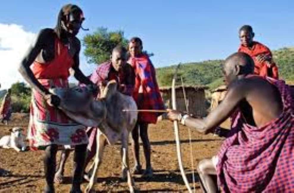 image n.46 of Masai Village Visit From Nairobi Day Tour activity in Central Kenya, uploaded by supplier