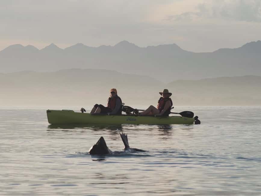 image n.5 of Kaikōura: Kayak Sunset Tour with Seal Sightings activity in Kaikoura, uploaded by supplier