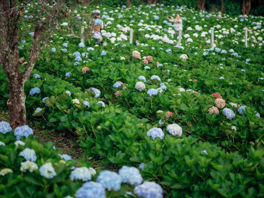 image n.7 of Chiang Mai: Doi Inthanon Park and Pha Dok Siew Trail Trek activity in Chiang Mai, uploaded by supplier