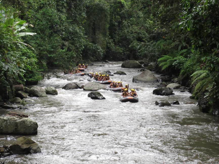 image n.4 of Ubud: Ayung River Rafting Include Lunch activity in Bali, uploaded by supplier