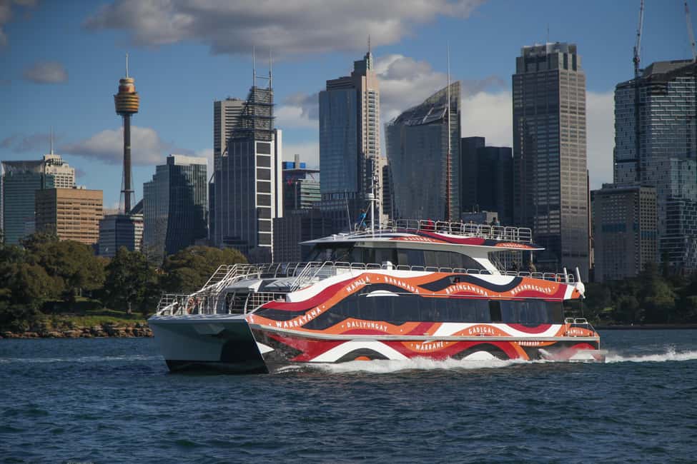bild nr.6 av Sydney: 2 timmars expresskryssning för valskådning aktivitet i Sydney, uppladdad av arrangören
