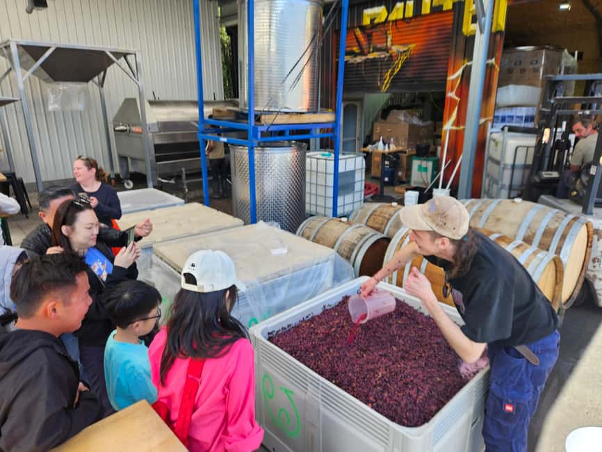 image n.54 of Melbourne: Yarra Valley Wine, Gin, Whisky and Chocolate Tour activity in Melbourne, uploaded by supplier