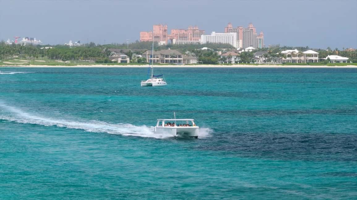 Image N°7 de Nassau : Cochons à la nage, plongée avec tuba et tour en bateau sur la plage activité à New Providence, publiée par le prestataire