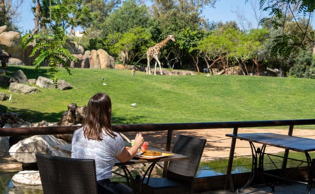 image n.6 of Valencia: Bioparc Valencia Admission Ticket activity in Valencia, uploaded by supplier