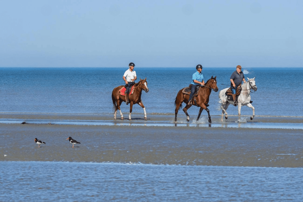 imagen n.º 4 de Casablanca: Paseos a caballo por la playa con traslados al hotel actividad en Tánger, subida por el proveedor