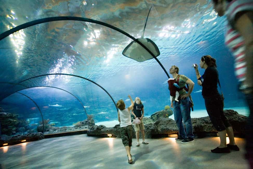 billede nr.4 af aktiviteten Rotterdam: Rotterdam Zoo Blijdorp entrébillet i Rotterdam, uploadet af udbyder