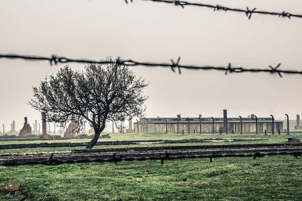 image n.7 of Auschwitz-Birkenau: Skip-the-Line Entry Ticket & Guided Tour activity in Oswiecim, uploaded by supplier