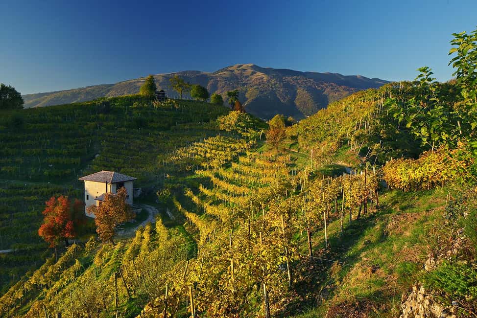 Obraz nr 9 z atrakcji Valdobbiadene: Degustacja Prosecco z wycieczką po winnicy i winiarni w Valdobbiadene, przesłany przez organizatora