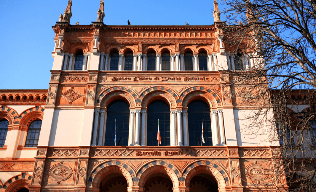image n.1 of Milan: Natural History Museum Entry Ticket & Audio Guide activity in Milan, uploaded by supplier