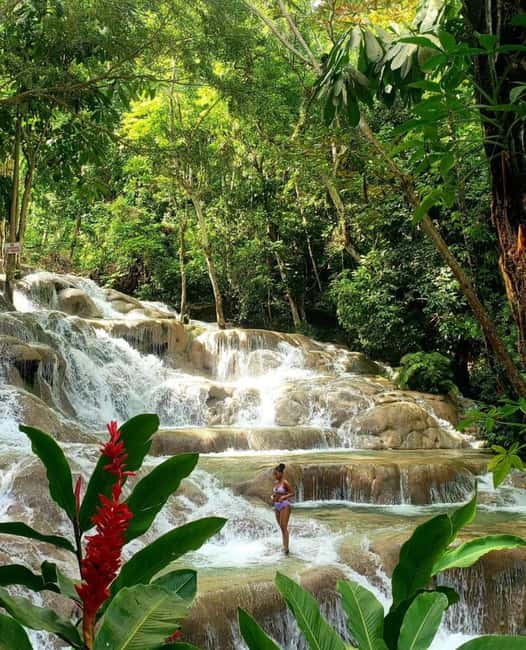 imagem n.3 de Tour particular para Dunns River e Blue Hole saindo de Montego Bay atividade em Ocho Rios, carregada pelo fornecedor